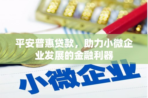 小店平安普惠贷款，助力小微企业发展的金融利器