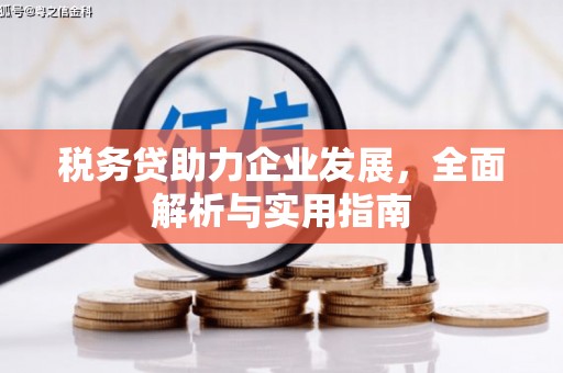 小店税务贷助力企业发展，全面解析与实用指南