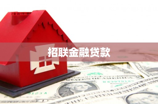小店招联金融贷款