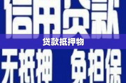 小店贷款抵押物