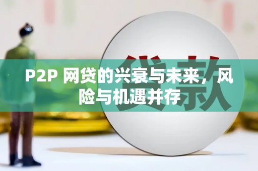 小店P2P 网贷的兴衰与未来，风险与机遇并存
