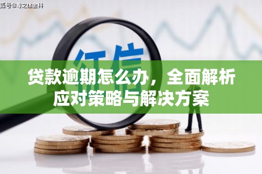 小店贷款逾期怎么办，全面解析应对策略与解决方案
