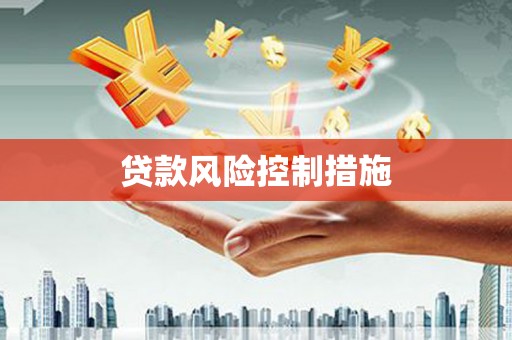 小店贷款风险控制措施