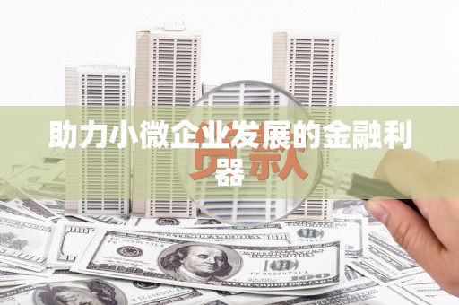 小店助力小微企业发展的金融利器