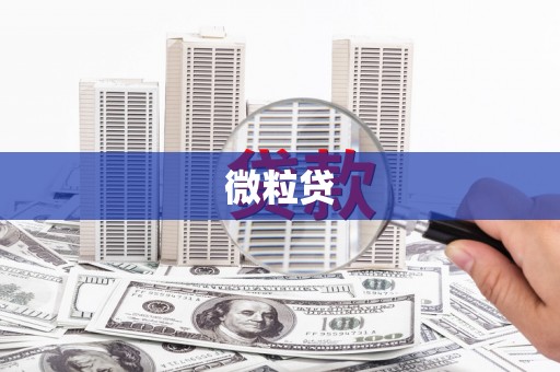 小店微粒贷