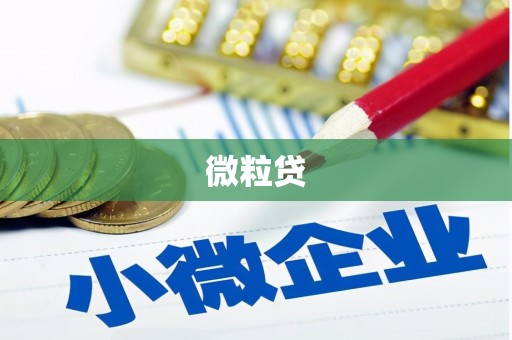 小店微粒贷