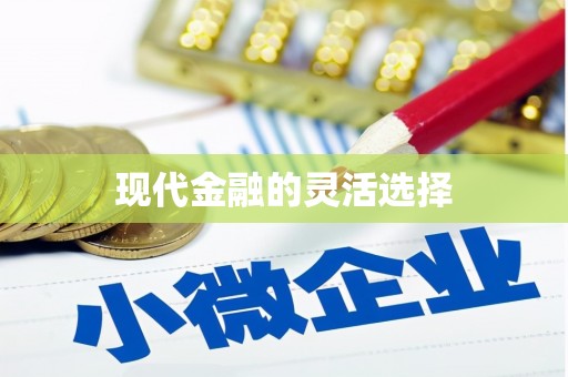 小店现代金融的灵活选择