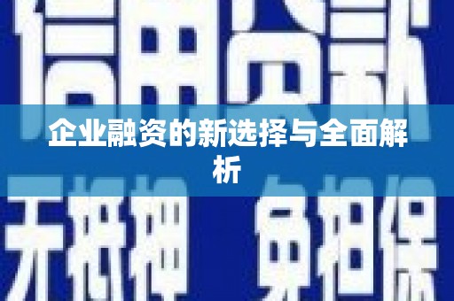 小店企业融资的新选择与全面解析