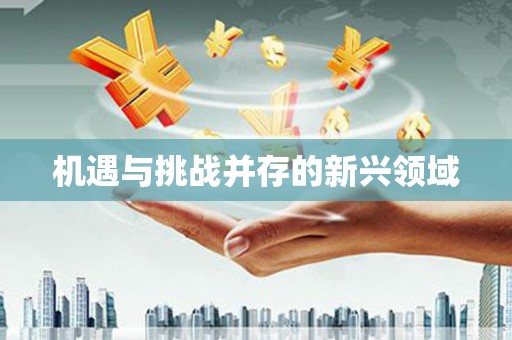 小店机遇与挑战并存的新兴领域