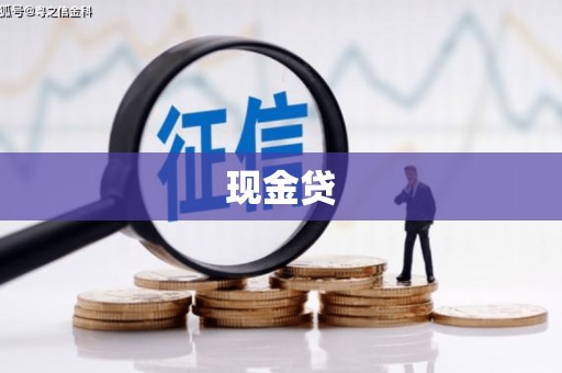 小店现金贷