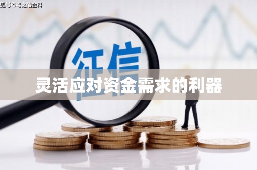 小店灵活应对资金需求的利器