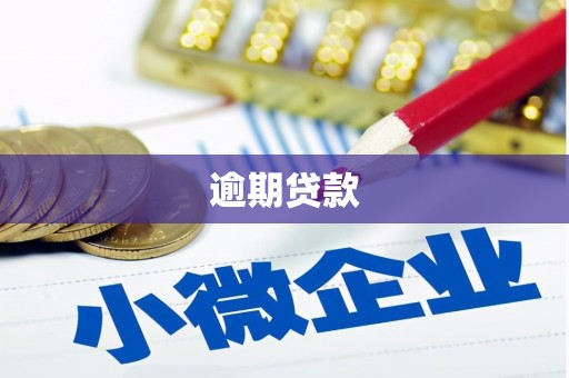小店逾期贷款