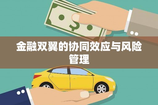 小店金融双翼的协同效应与风险管理