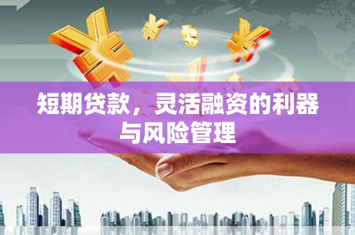 小店短期贷款，灵活融资的利器与风险管理