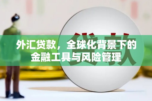 小店外汇贷款，全球化背景下的金融工具与风险管理